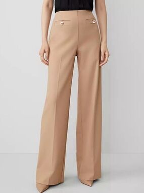 Ann Taylor High-Waist Wide-Leg, Button Detail, Side Zip Pants in Camel, size 4